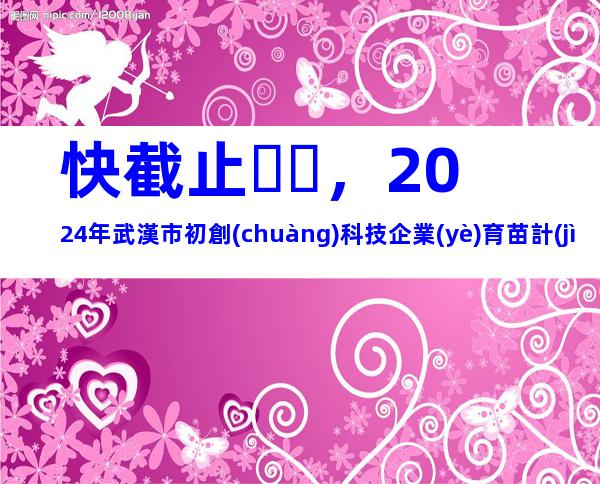 快截止，2024年武漢市初創(chuàng)科技企業(yè)育苗計(jì)劃申報(bào)條件、相關(guān)內(nèi)容